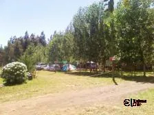 Camping Los Radales - camping en Saltos del Laja, Chile